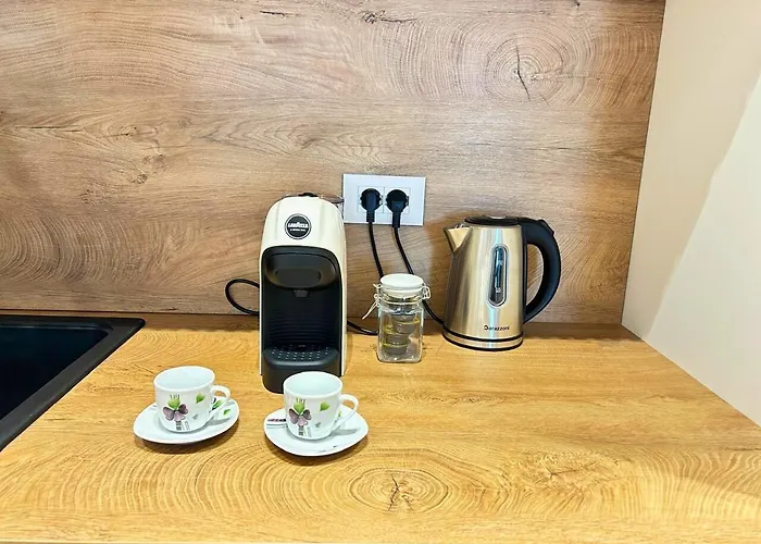 Central Tirana Apartment 地拉那